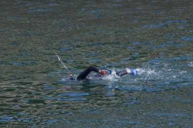 16 October 2021 - 12-20-00
Aided and abetted by fins and flippers and snorkel, this wild water swimmer raced along the Kingswear shore.
--------------
Wild water swimming in the river Dart, Dartmouth.